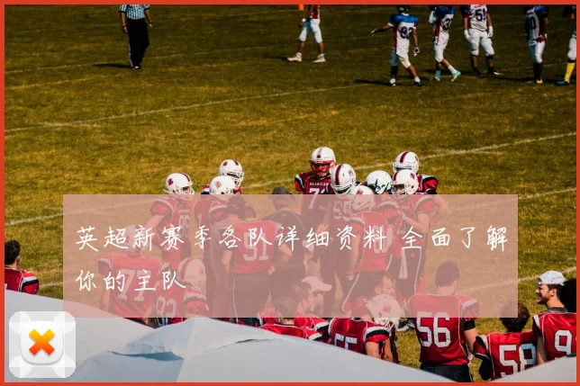 英超新赛季各队详细资料 全面了解你的主队