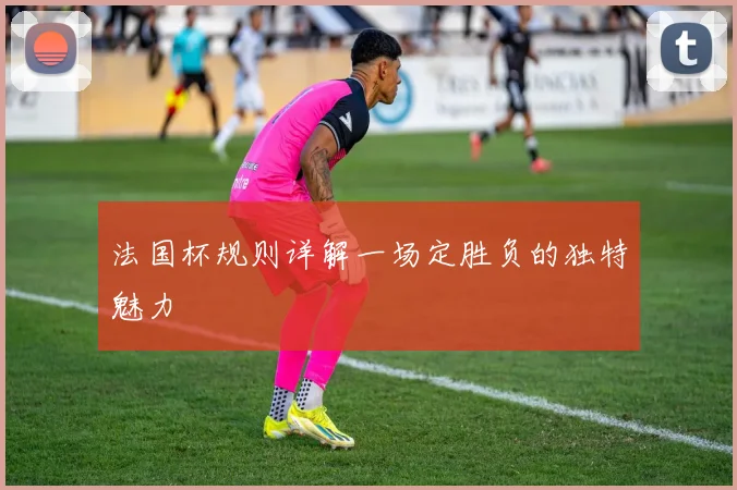 法国杯规则详解一场定胜负的独特魅力